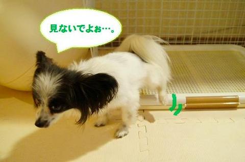 th_img_493349_8686687_3.jpg